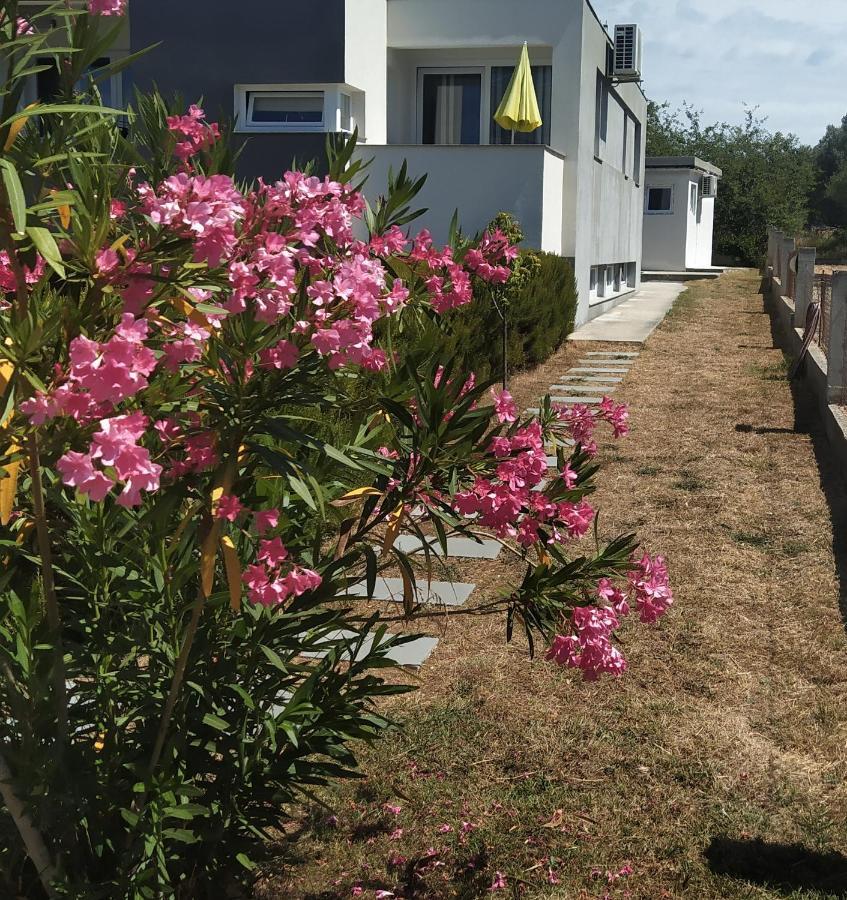 Apartments Dora 2 Bibinje Εξωτερικό φωτογραφία